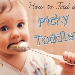 How To Feed A Picky Toddler