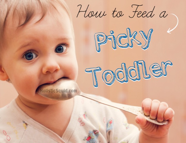 How to Feed a Picky Toddler - Holistic Squid