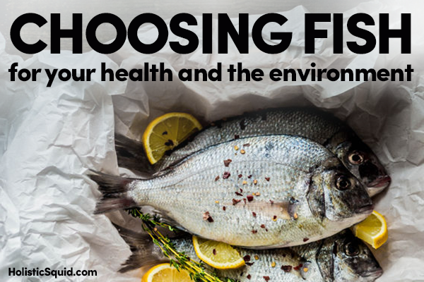 Choosing Fish For Your Health And The Environment - Holistic Squid