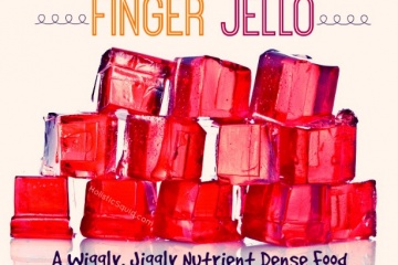 Finger Jello - A Wiggly, Jiggly Nutrient Dense Food - Holistic Squid