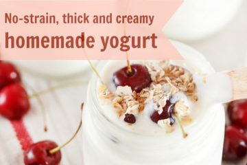 No Strain Thick And Creamy Homemade Yogurt Recipe - Holistic Squid