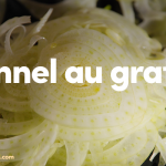 Fennel Au Gratin Recipe