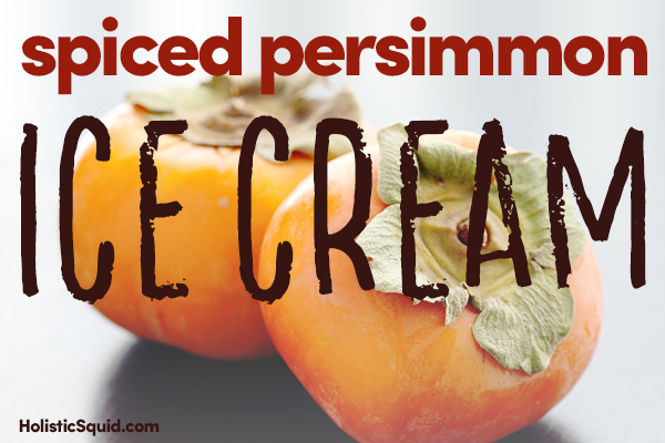 Spiced Persimmon Ice Cream - Holistic Squid