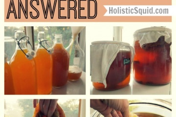 Has My Scoby Gone Bad? And other Kombucha questions answered... - Holistic Squid