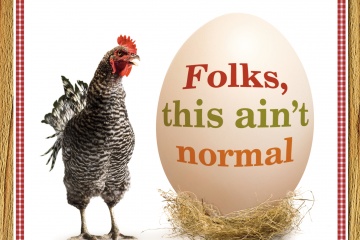 Folk’s This Ain’t Normal: Book Review