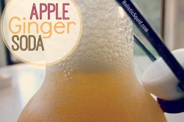 Apple Ginger Soda Recipe