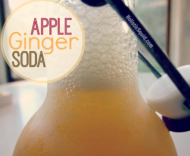 Apple Ginger Soda - Holistic Squid