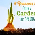 8 Reasons To Grow A Garden This Spring