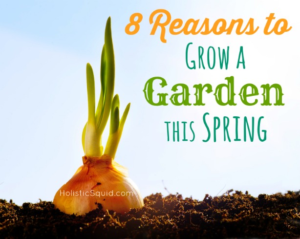 8 Reasons to Grow a Garden this Spring - Holistic Squid