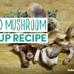 Wild Mushroom Soup Recipe