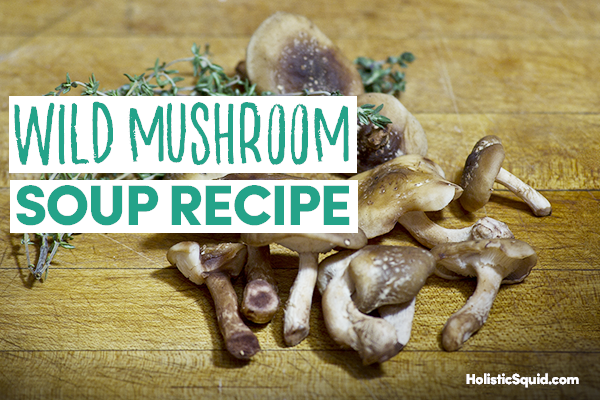 Wild Mushroom Soup Recipe - Holistic Squid
