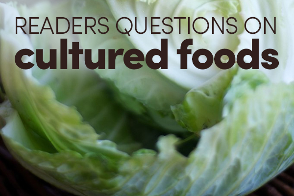 Readers' Questions on Cultured Foods - Holistic Squid