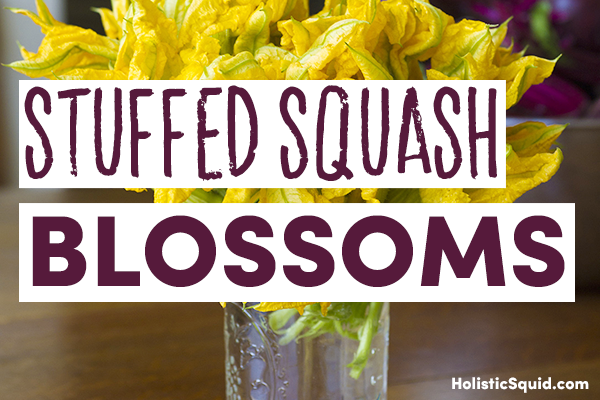 Stuffed Squash Blossoms Recipe - Holistic Squid