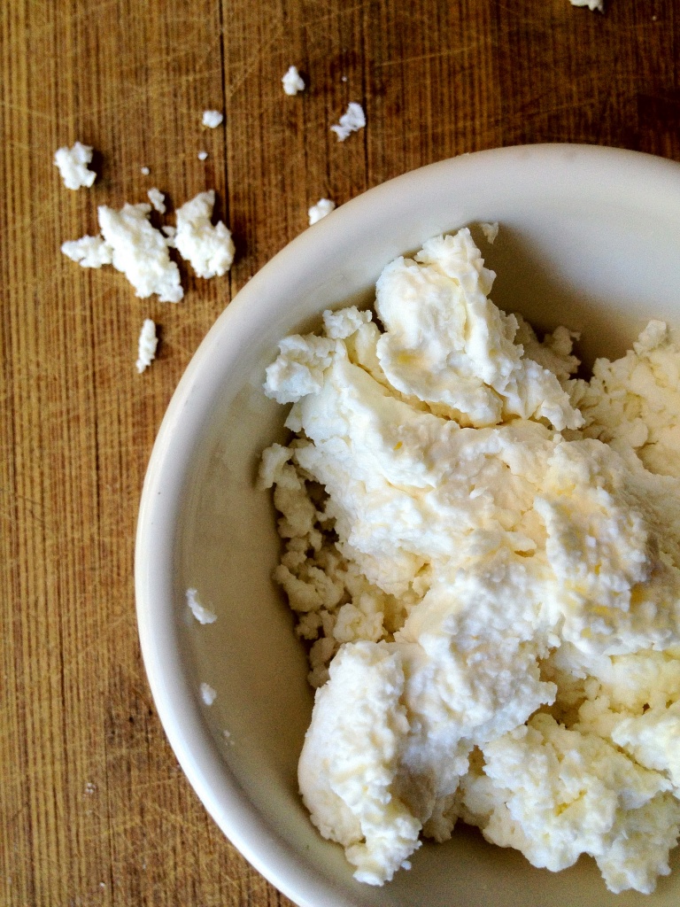 How to Make Goat Cheese - Holistic Squid