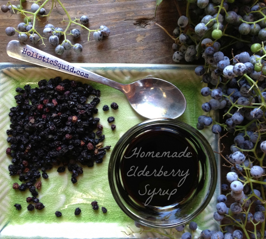 Elderberry Syrup Recipe Holistic Squid