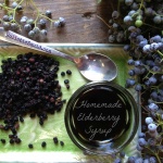Elderberry Syrup Recipe For Cold And Flu Prevention