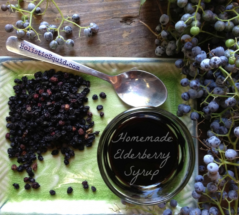 Elderberry Syrup Recipe Holistic Squid