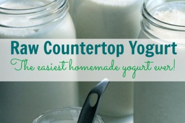The Easiest Homemade Yogurt Recipe Ever (And My First Video!)