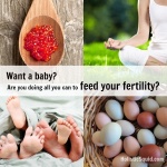 Introducing Feed Your Fertility – My New EBook!