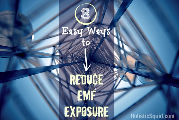 8 Easy Ways to Reduce EMF Exposure - Holistic Squid