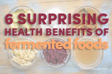 Six Surprising Health Benefits Of Fermented Foods - Holistic Squid