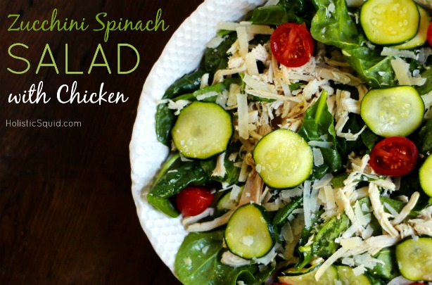 Zucchini Spinach Salad with Chicken - Holistic Squid