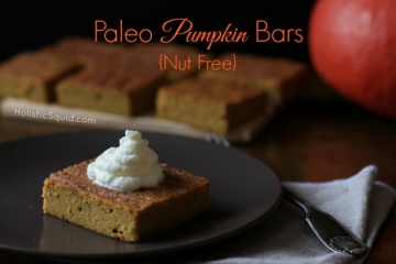 Paleo Pumpkin Bars (Nut Free)