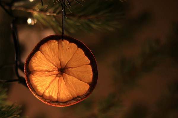 5 Easy DIY Christmas Ornaments - Holistic Squid