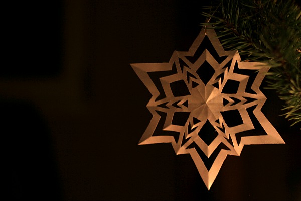 5 Easy DIY Christmas Ornaments - Holistic Squid