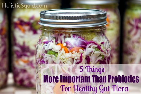 5 Things More Important than Probiotics For Healthy Gut Flora - Holistic Squid