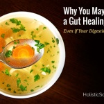 Why You May Need a Gut Healing Diet – Even if Your Digestion is Fine