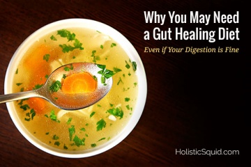 Why You May Need A Gut Healing Diet Even If Your Digestion is Fine - Holistic Squid