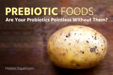 Prebiotic Foods For Good Gut Health