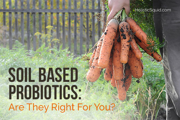 Soil Based Probiotics: Are They Right For You? - Holistic Squid